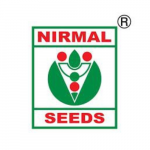 nirmal
