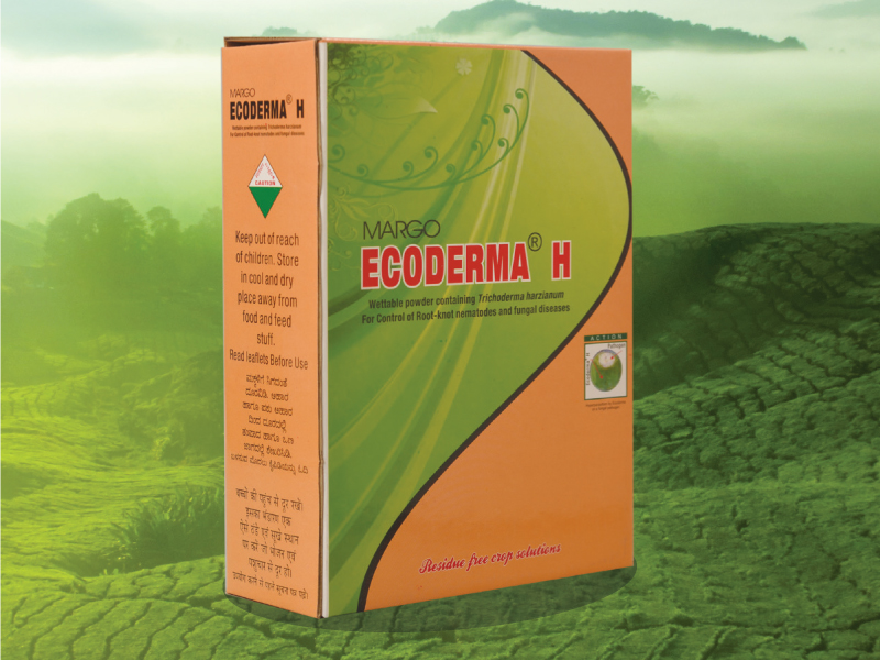 Ecoderma_H