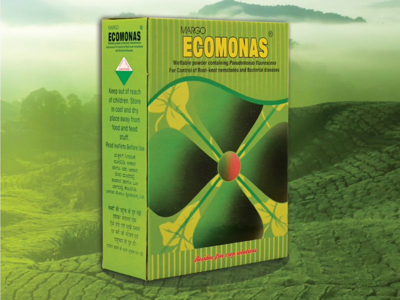 Ecomonas