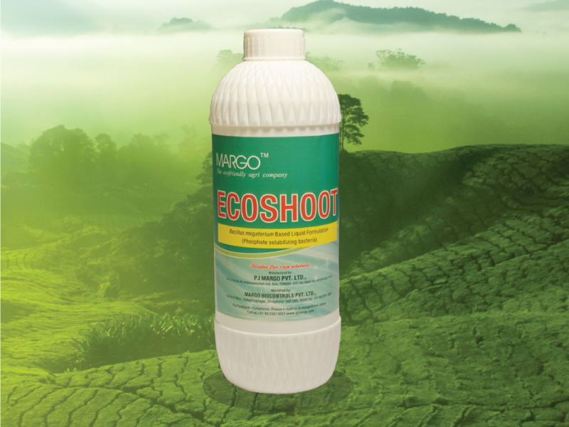 Ecoshoot_Phosphate