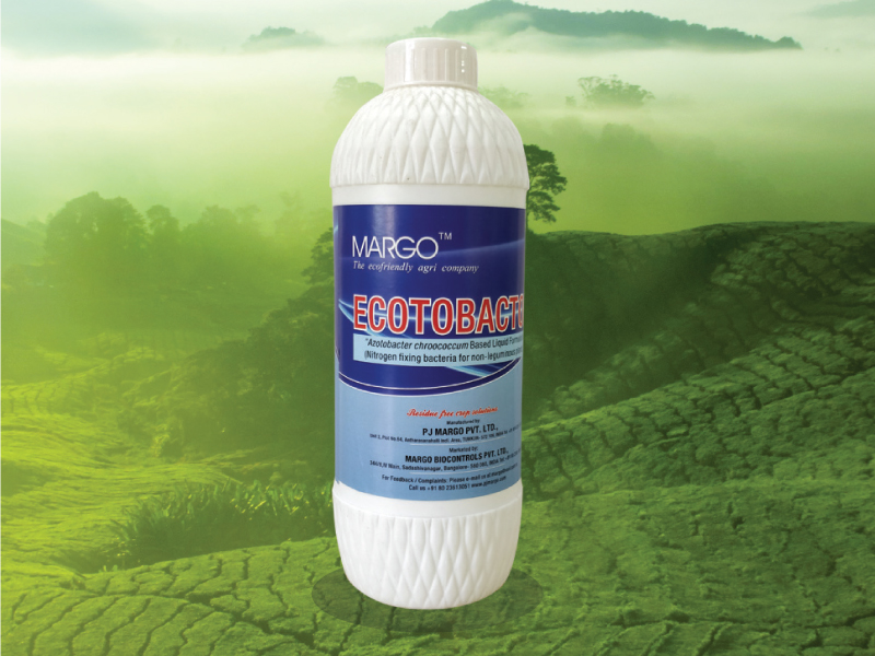 Ecotobactor_Azotobacter