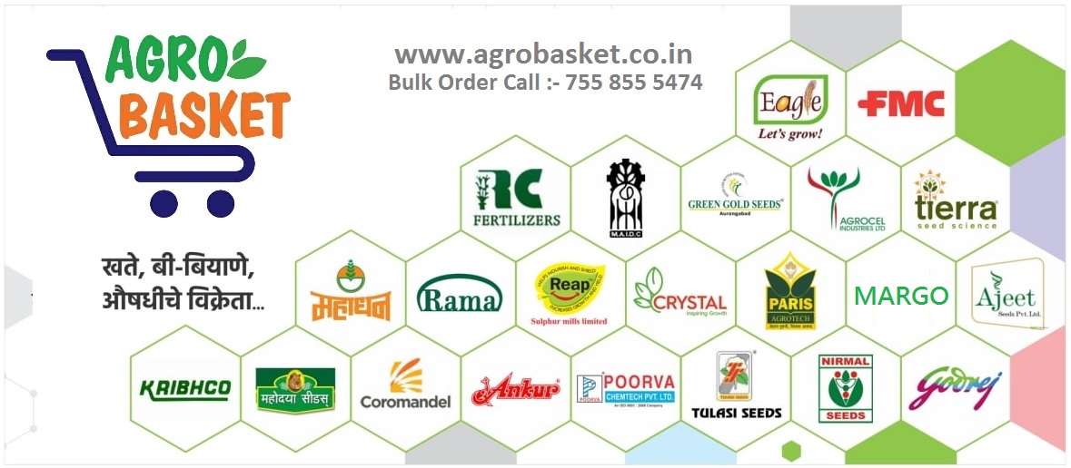 WhatsApp Image 2022-12-14 at 1.53.05 PM