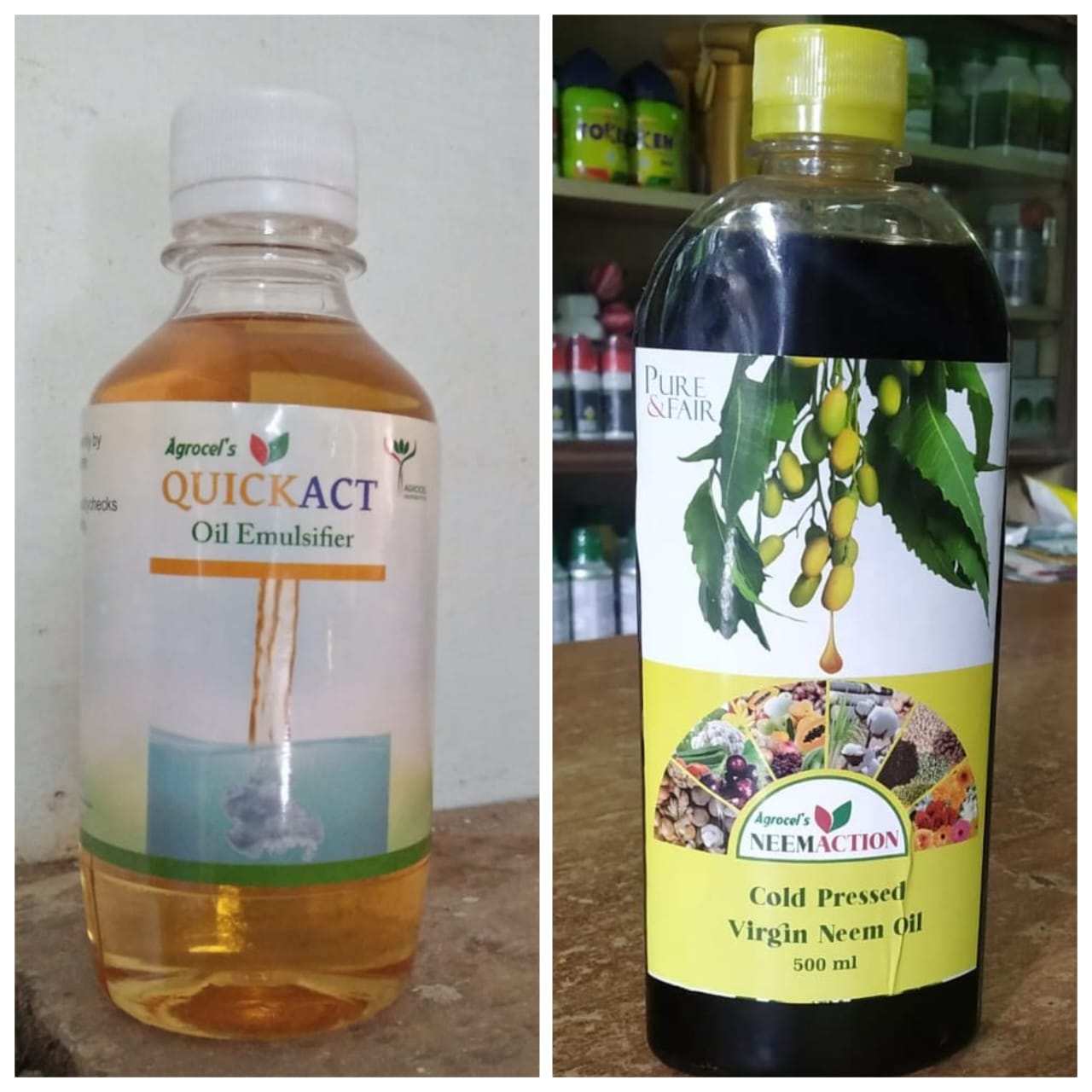 NEEM OIL1