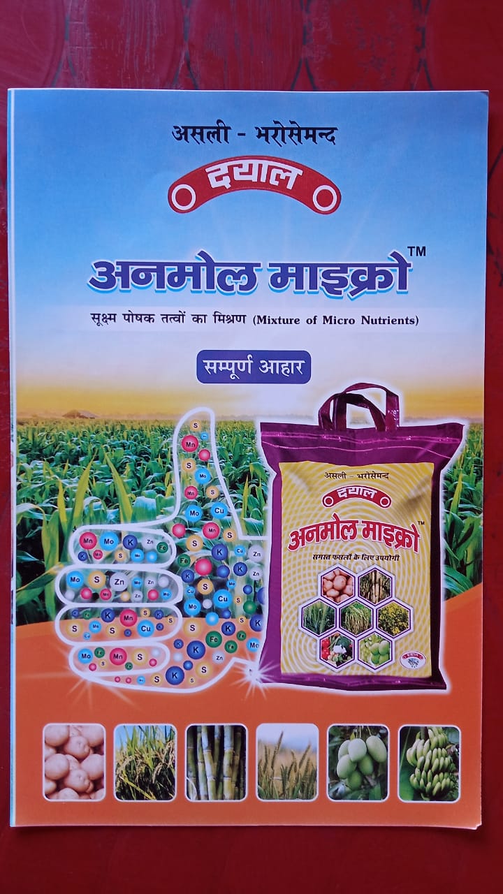 WhatsApp Image 2023-01-23 at 12.44.52